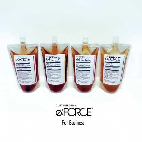【e:FORCE】e:FORCEビジネスセット