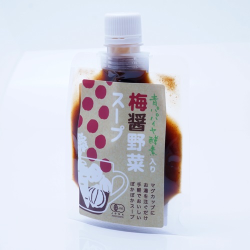 【Bio-Normalizer】青パパイヤ酵素入り梅醤野菜スープ