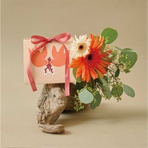 【giovanni】ボディスクラブ mini-twin HA