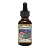 【POWER OF FLOWERS HEALING ESSENCES】カルミックインプリントブレンド 30ml