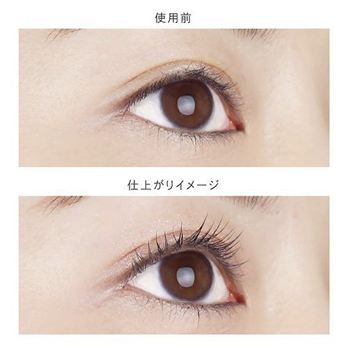 AINOKI mebuki】フォレスト フィール セイバー マスカラベース