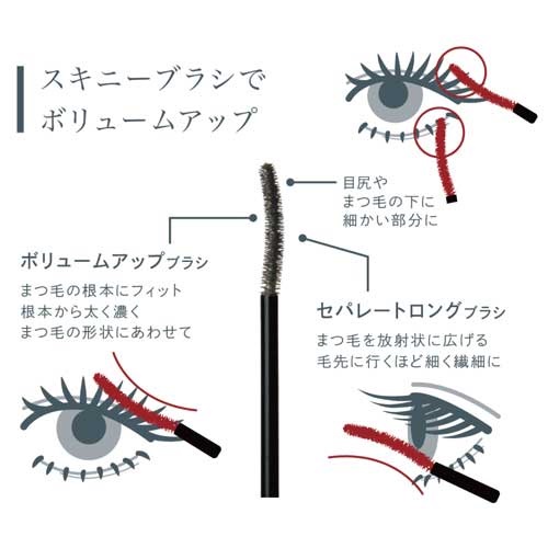 AINOKI mebuki】プレゼンスラッシュマスカラ＜全2色＞ ｜マスカラ