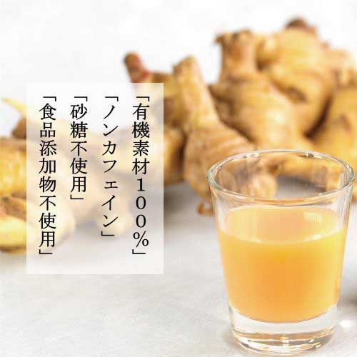 生姜百景】生姜百景-GINGER SHOT- ｜炭酸飲料｜MASH GO GREEN STORE