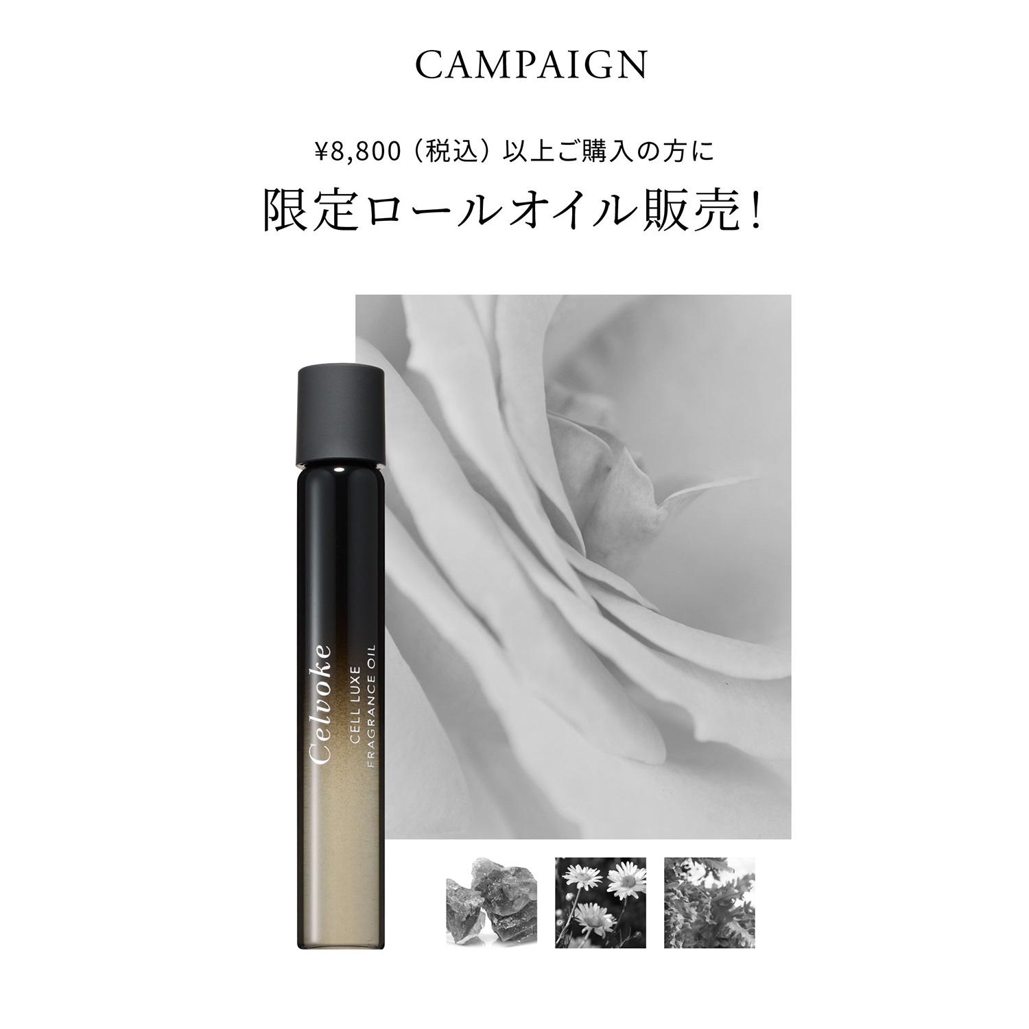 Celvoke】セルリュクス コンセントレートオイル ｜OIL｜Cosme