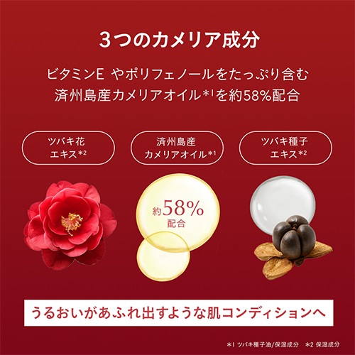 コスグラム　ダーマルハイパーメルティングクリーム　30g ＋　凍結乾燥美容液 楽天市場】【処分価格】 クラシエ Kracie X-FIT クロスフィット